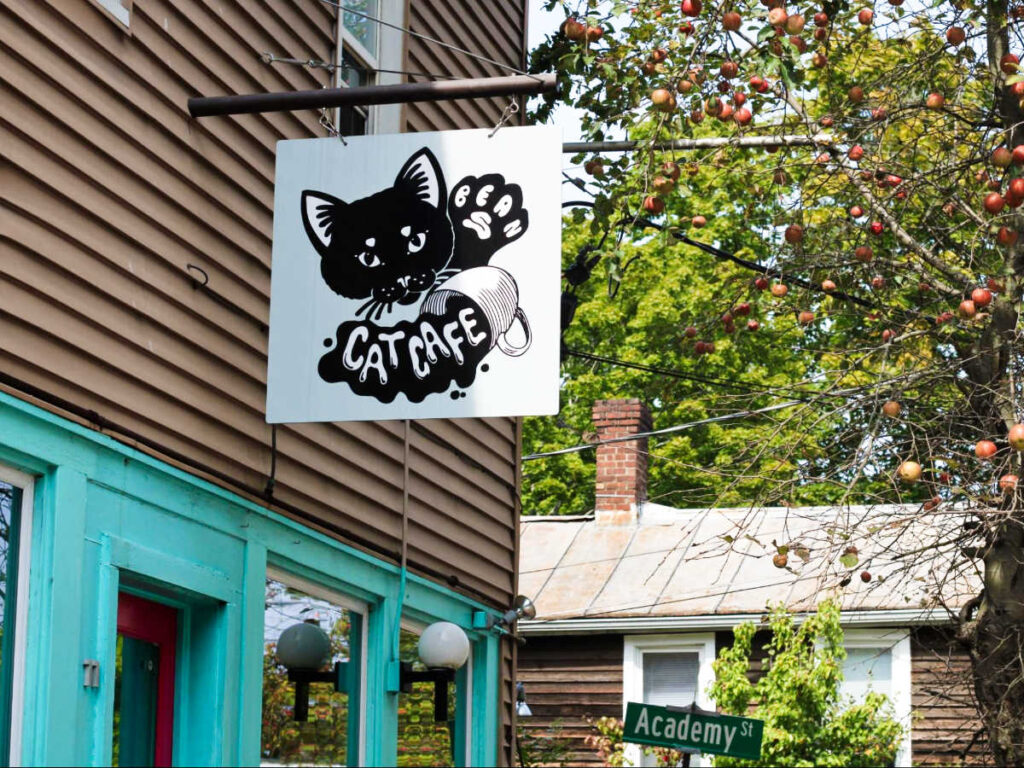 The signage for Beans Cat Cafe