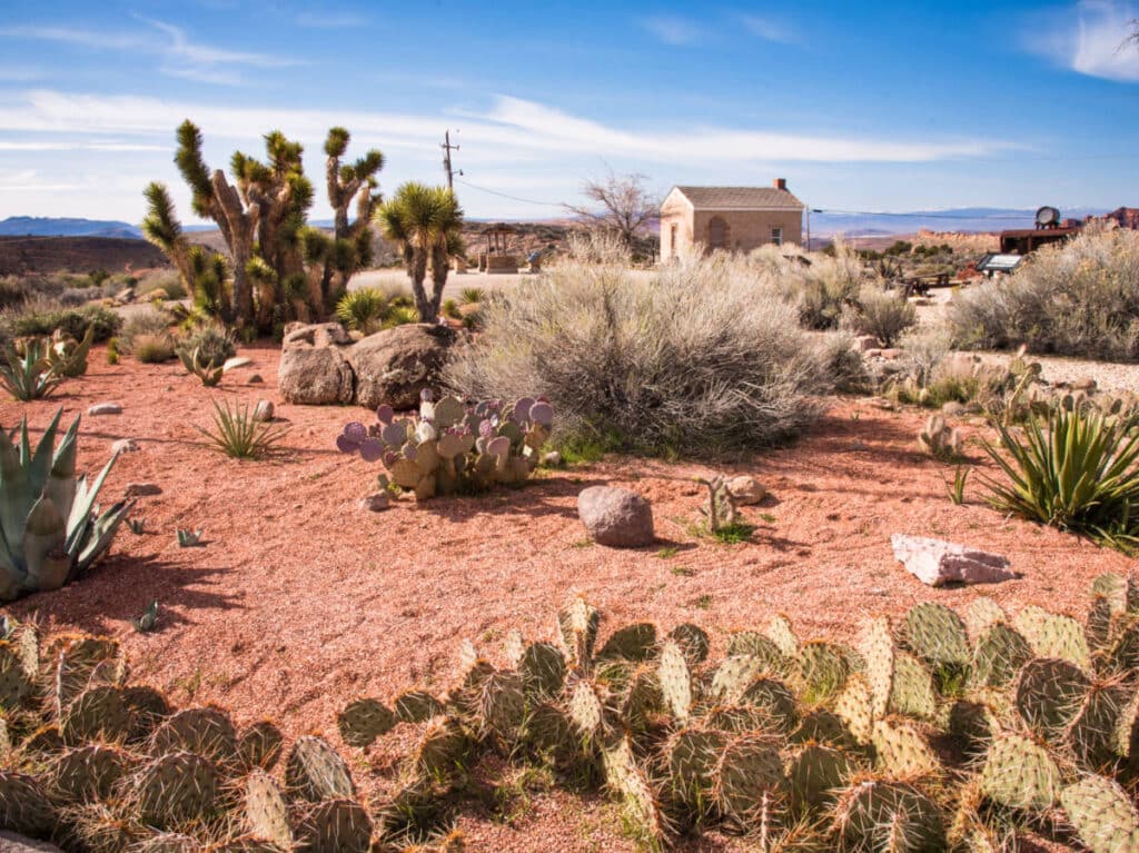 View of the desert plants around a building in Silver Reef Ghost Town