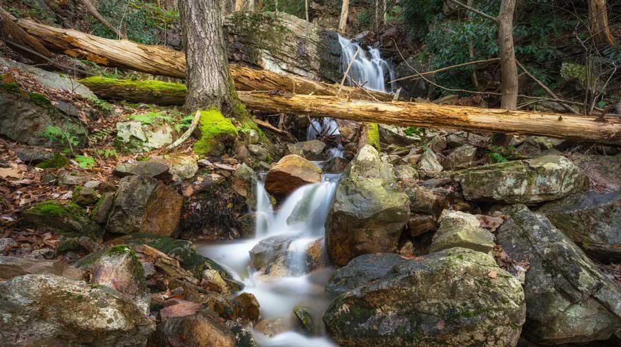 View from the Silver Spray Falls during autumn season