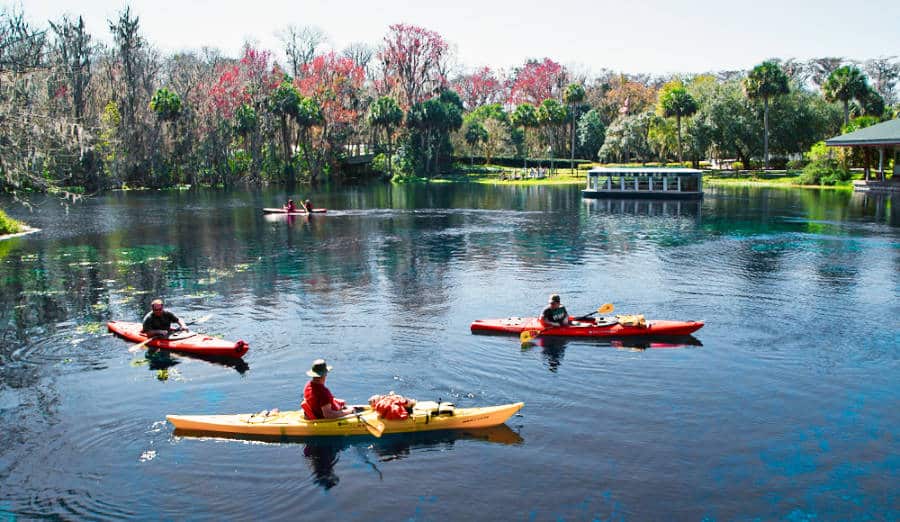 Kayakers enjoying their ride on the Silver River at Silver Springs State Park