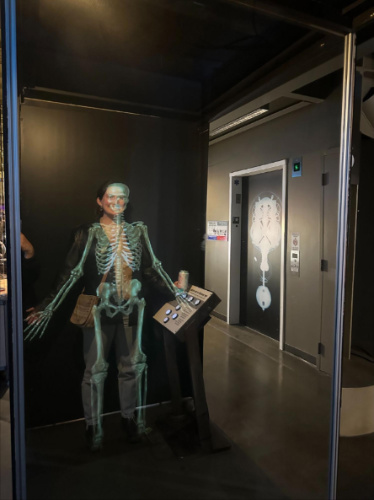 The author, Laura McFarland with her skeleton at The Exploratorium