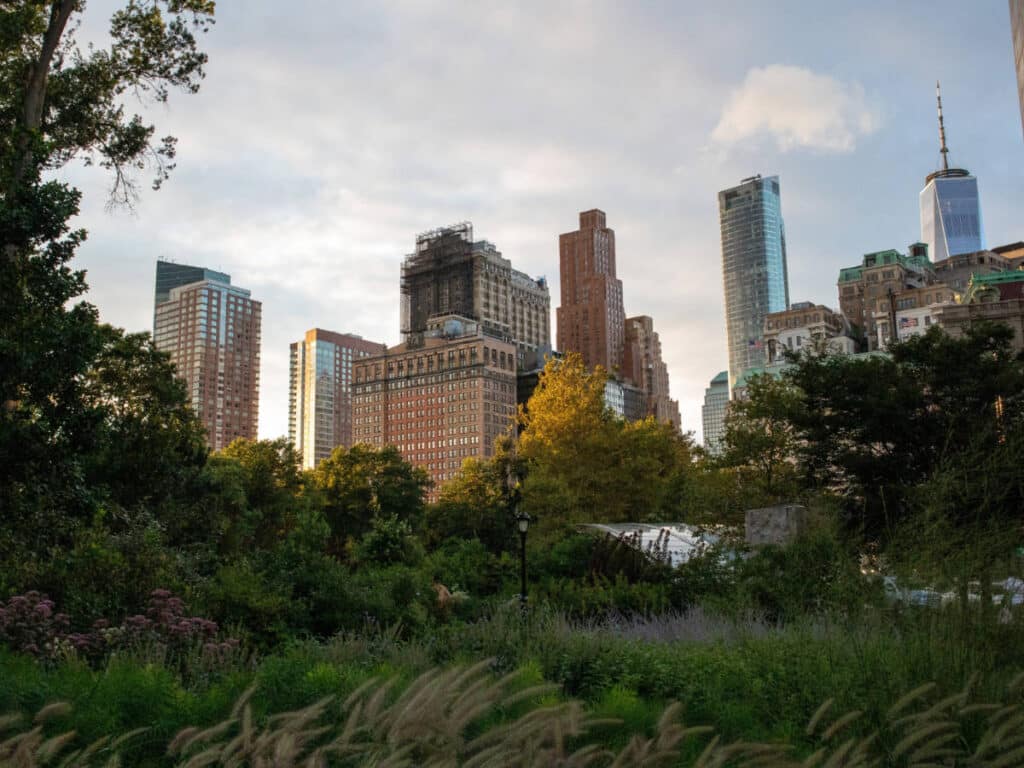 View of skyscrapers in Manhattan