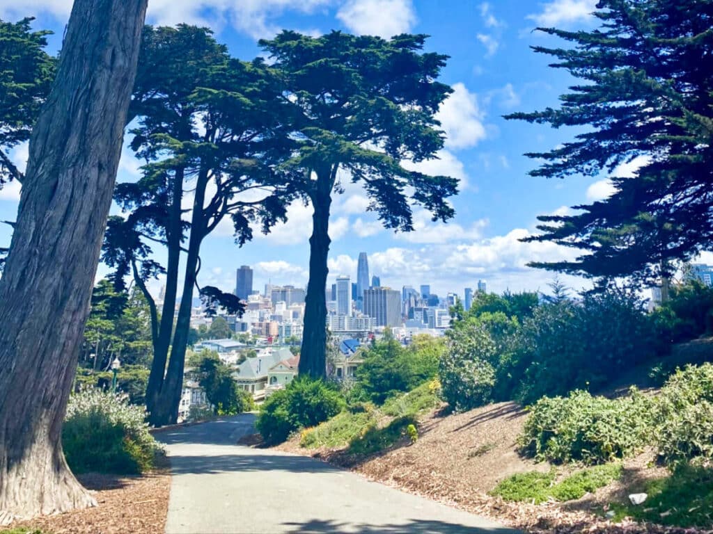View of the city skyline through the trees at Alamo Square Park