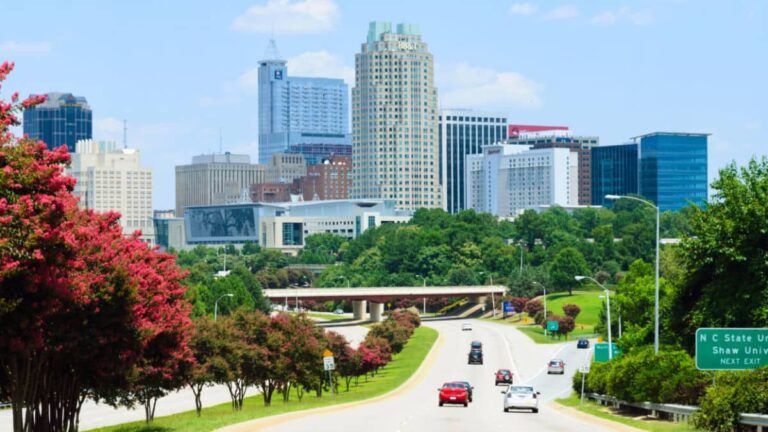 View of the cars driving along the lined fall foliage trees with the skyline of Raleigh