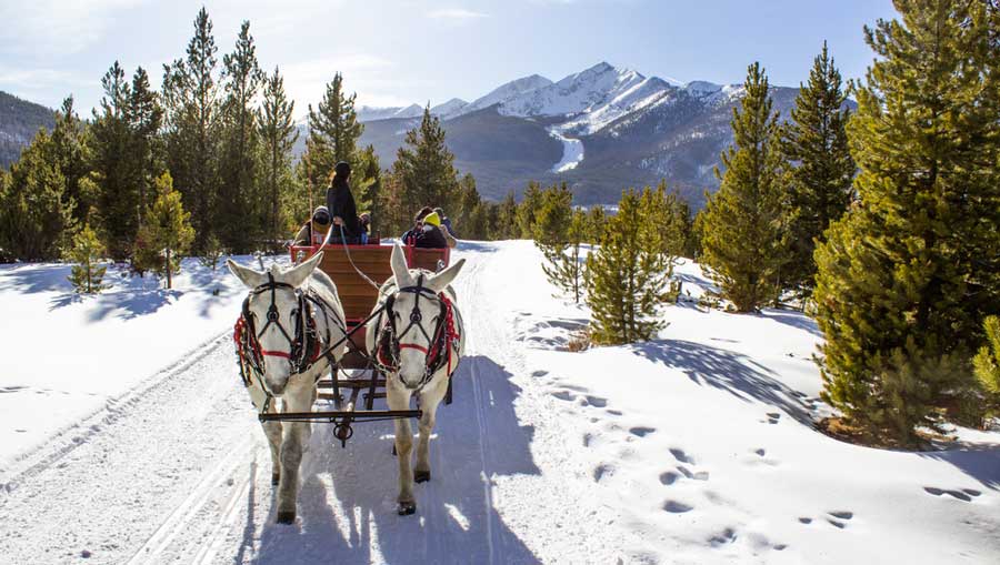 People riding a horse sleigh ride in Breckenridge