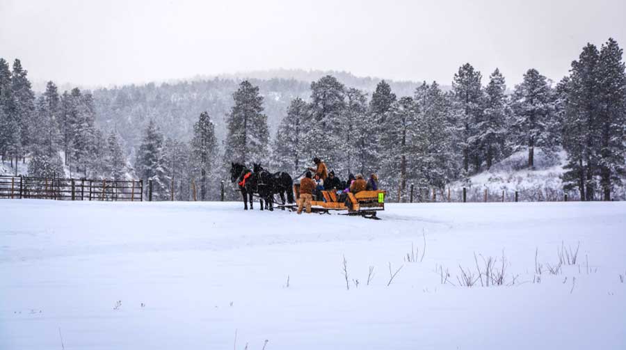 View of a sleigh with people on it