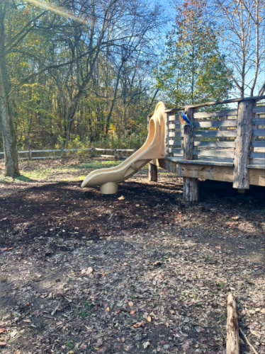 The slide at the play area of Warner Park Nature
