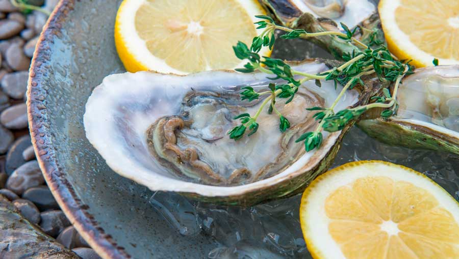 Fresh oysters with ice and lemons on a plate