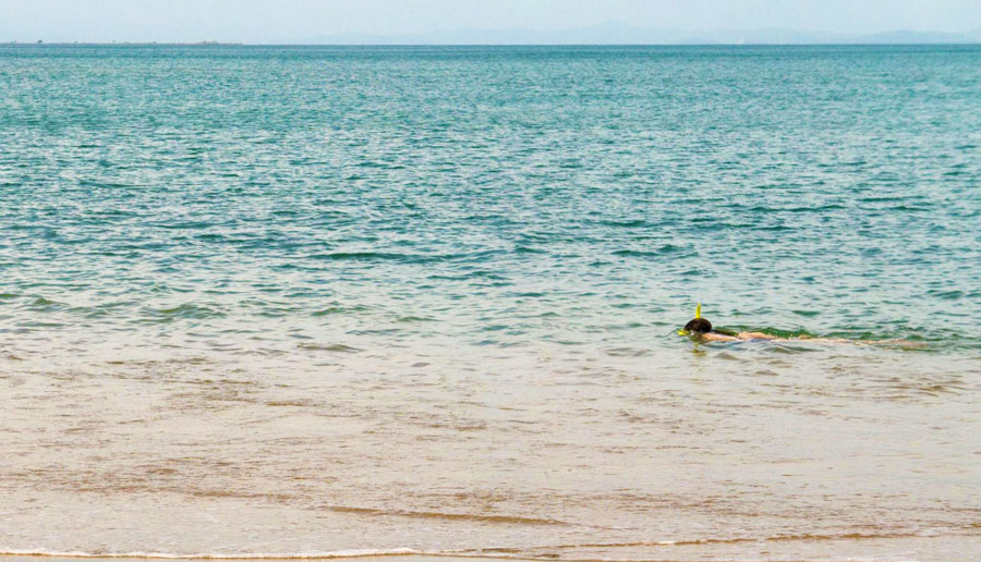 View of a person snorkeling in Vieques water