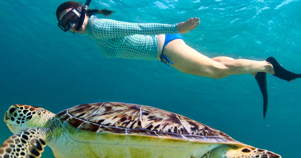 A woman snorkeling with the turtle