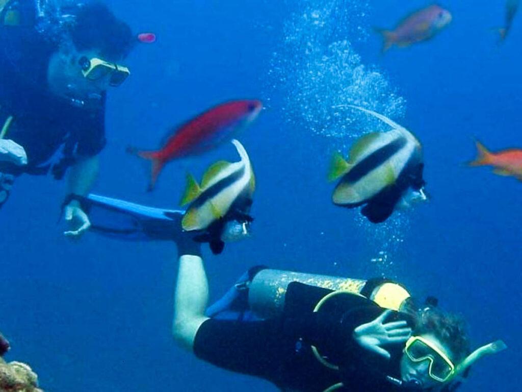 View of the tourists diving with the fishes