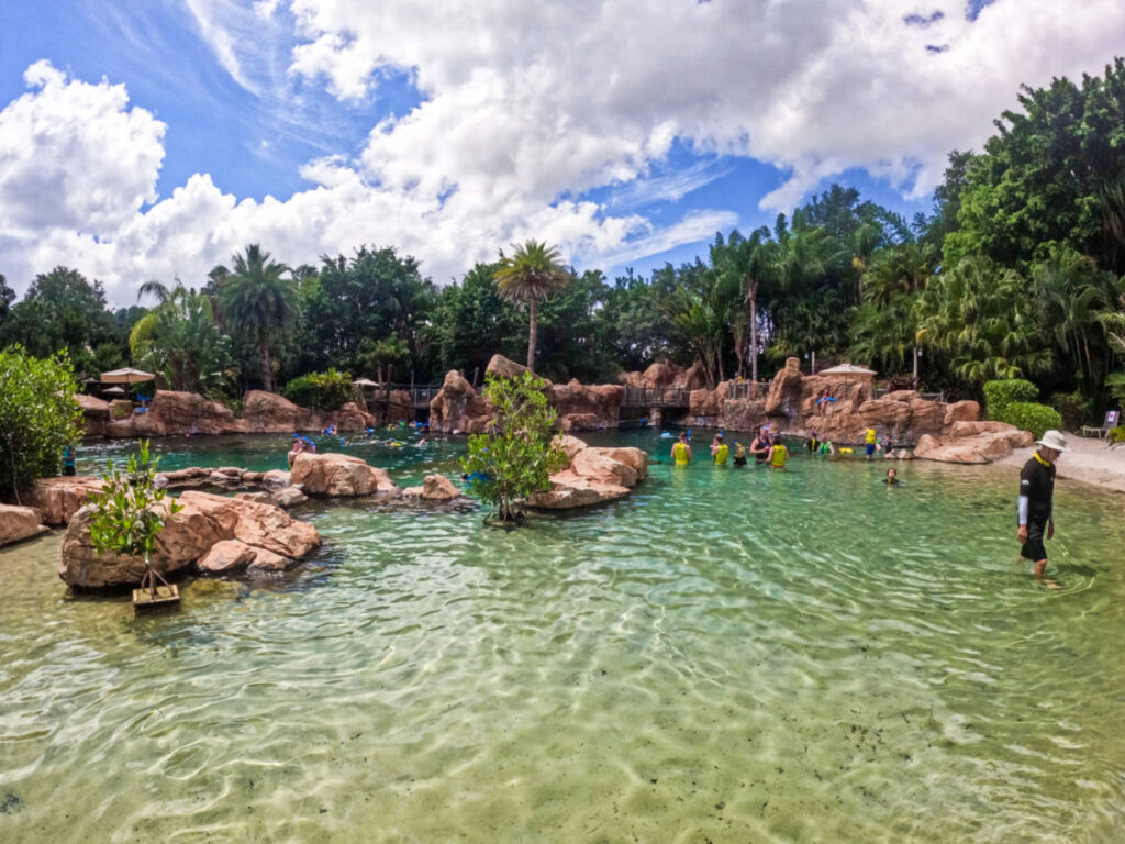 View of the snorkelers at the Grand Reef in Discovery Cove