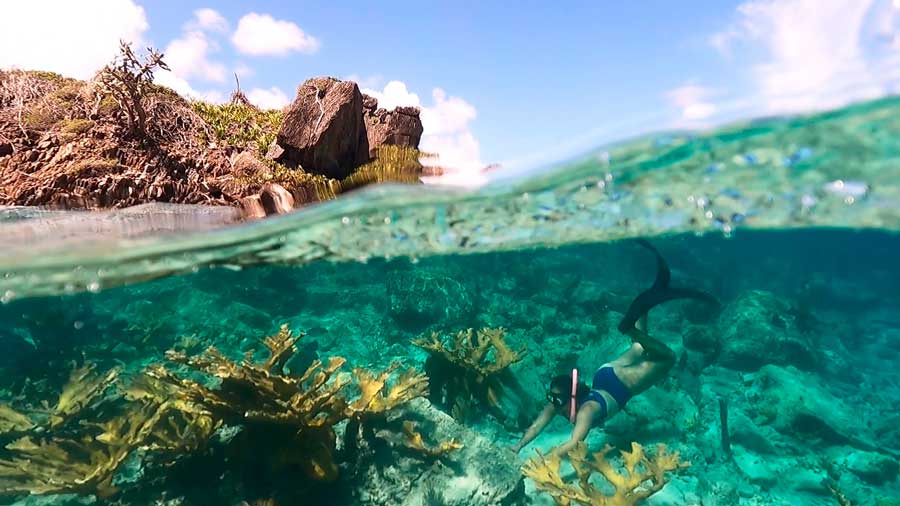 The author's wife snorkeling to see the elkhorn coral at Waterlemon Cay