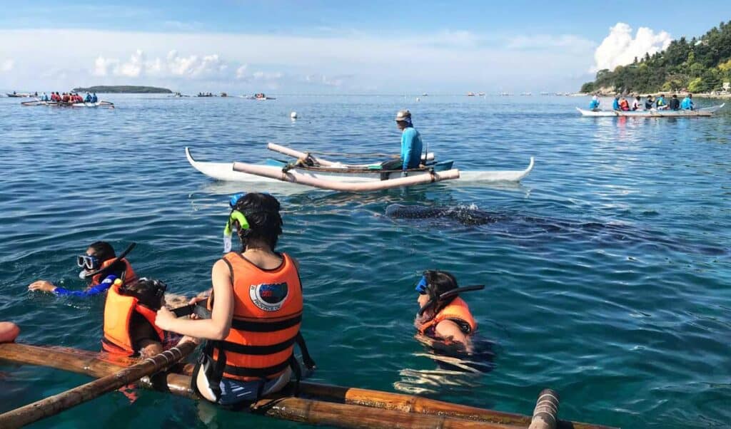 Travel Lemming writer Lea Rose with her friends swimming with the whale sharks in Cebu