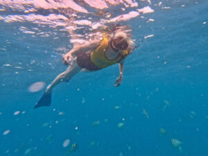 A snorkeler seen from under the water