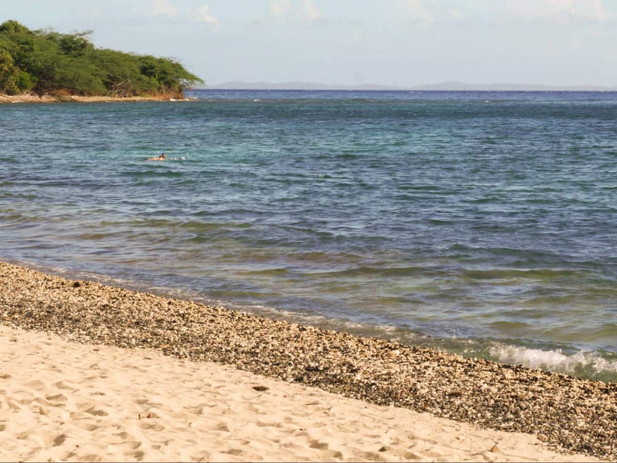 People enjoying snorkeling at the Tamarindo Beach