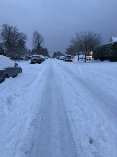 A road fully covered with sow