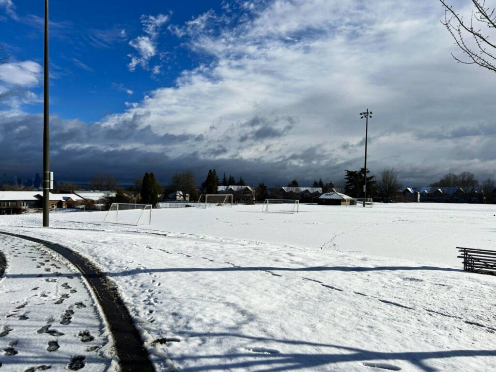 The snow covered park on a sunny day