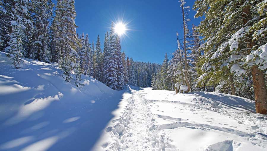 View of the sun above a snowy forest trail path