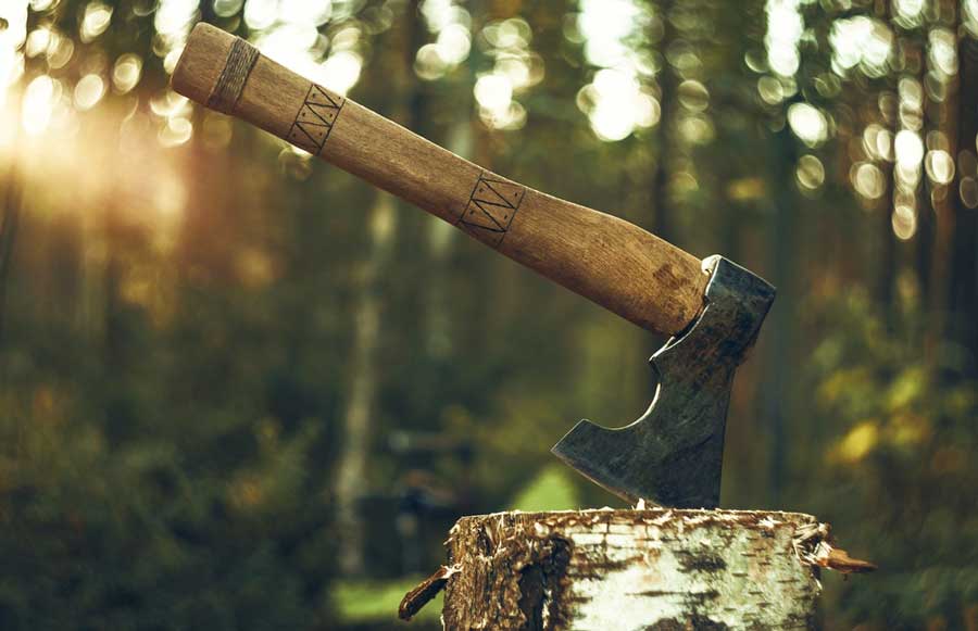 An axe on a tree trunk in a forest in Temecula