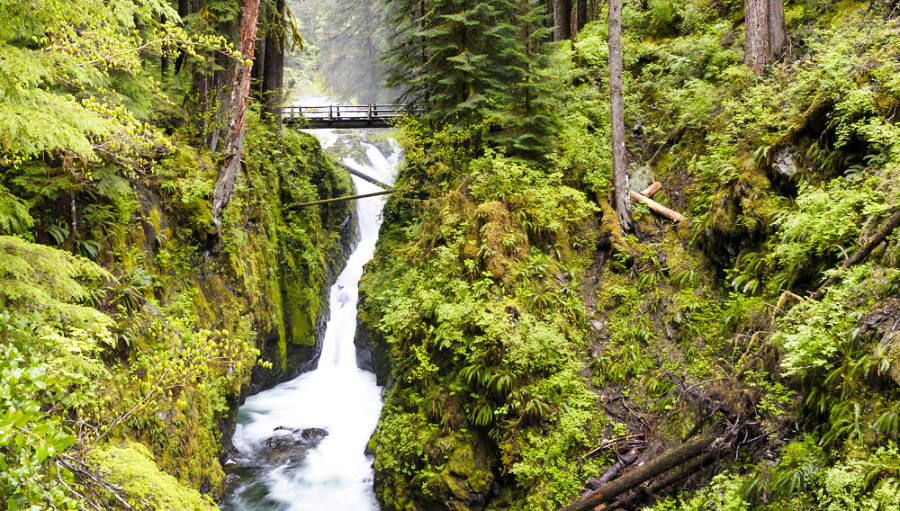 A small bridge above the gushing water of Sol Duc Falls in the middle of the forest