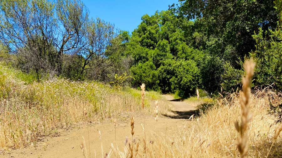 View of a hiking trail in Solstice Canyon