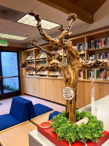 View of the shelves and a tree display inside the Sonoma County Wine Library