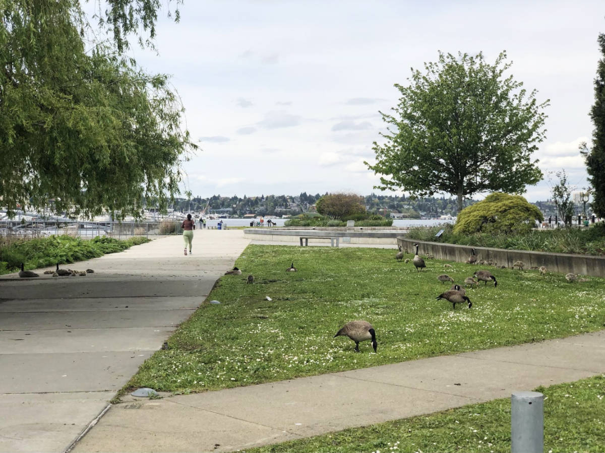 View at the South Lake Union during morning