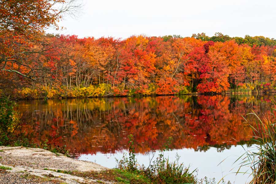 View of a pond surrounded with trees in Long Island during autumn season