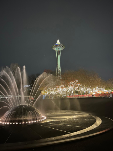 View of the Seattle Space Needle and the illuminated city skyline at night