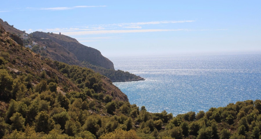 Scenic view of the ocean from a mountain