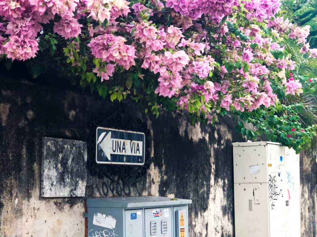 A Spanish signage of One Way