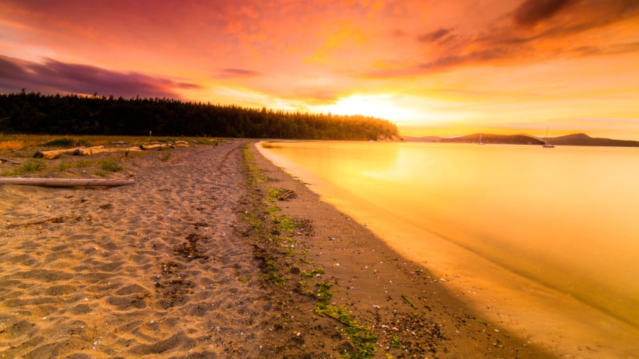 View of the beautiful golden sunset at Spencer Spit State Park