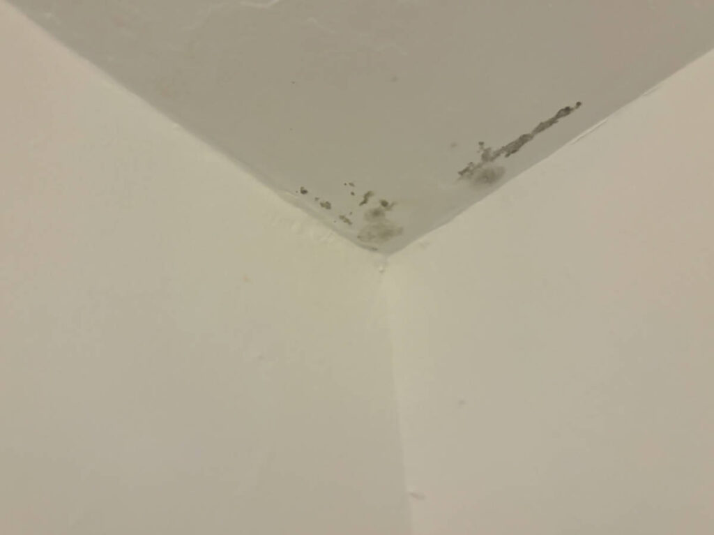 Spot of mold on the ceiling of an AirBnB