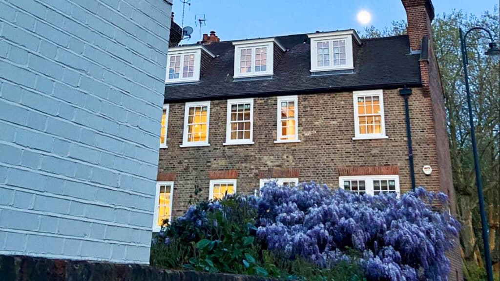 View of the blooming flowers outside the house on a clear evening