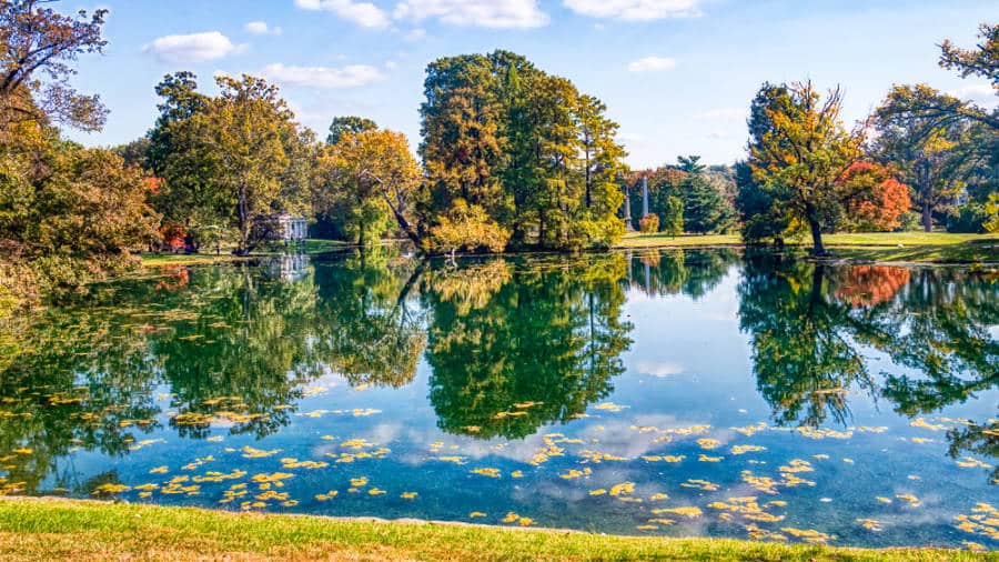 View of the autumn trees reflected on the water at Spring Grove Cemetery and Arboretum