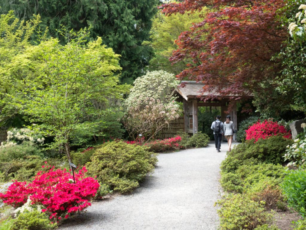 People visiting the Bellevue Botanical Garden during springtime