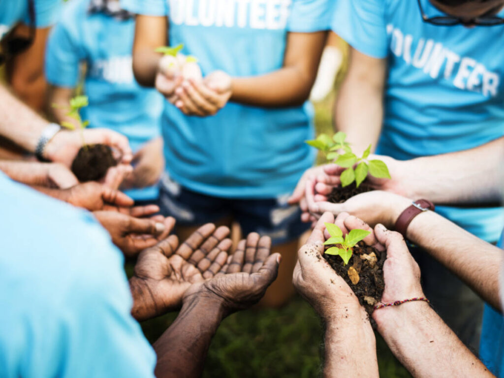 View of the hands holding the growing plants