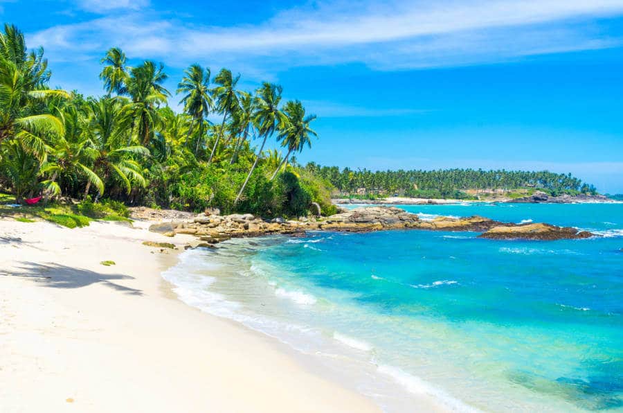 Panoramic view of the white sand beach and the tropical trees around