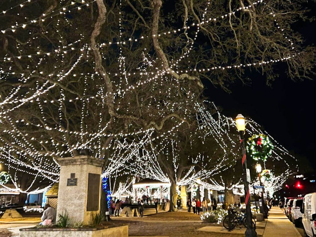 View of the trees around St. Augustine illuminated with string lights at night