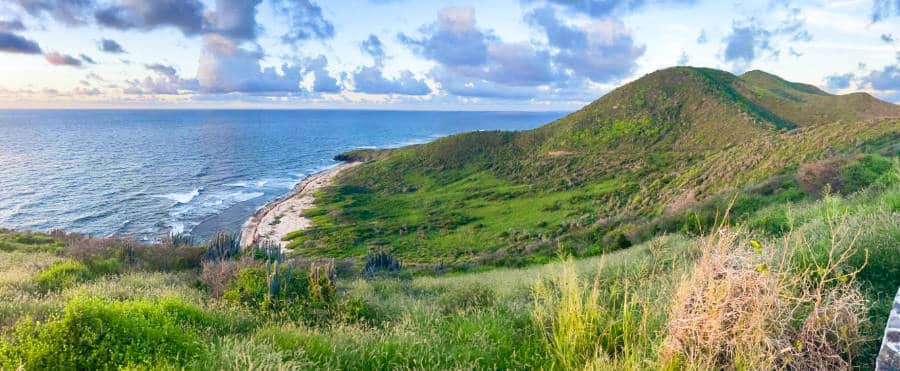 Aerial view of the lush green island and ocean of St. Croix