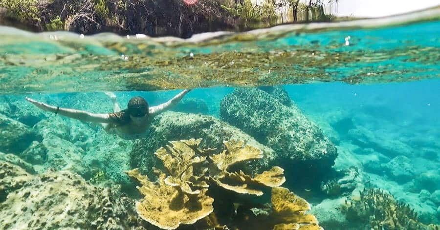 A woman snorkeling on the shallow coral reefs within Virgin Islands National Park