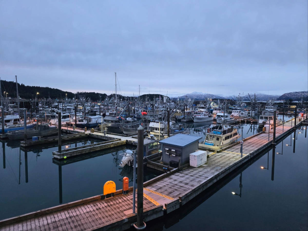 View of the docked boats at St. Paul Harbor at dusk