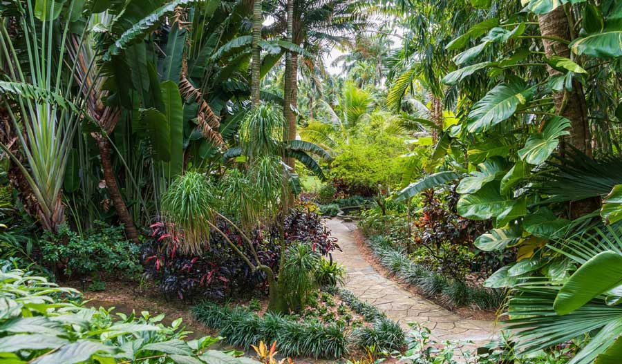 Pathways surrounded with tropical flowers and plants inside St. Petersburg Sunken Gardens