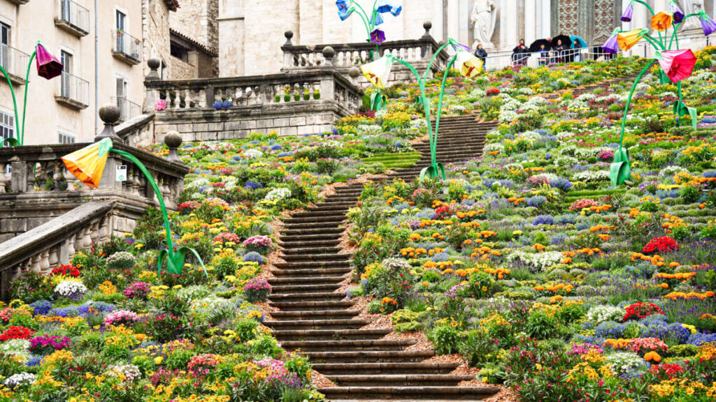 View of the magnificent stairs through the Temps de Flors festival in Girona