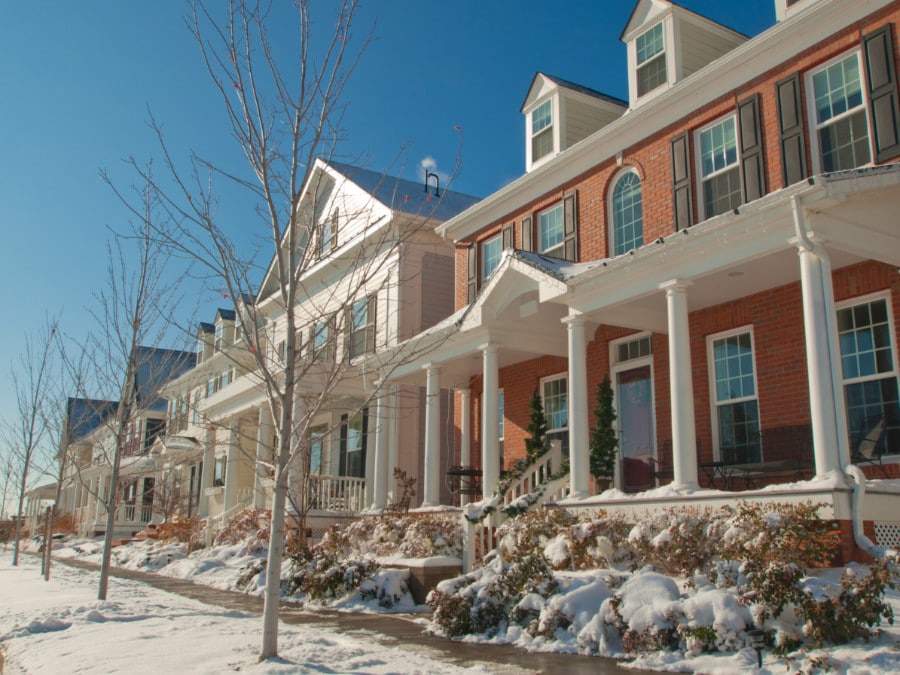Houses in Central Park