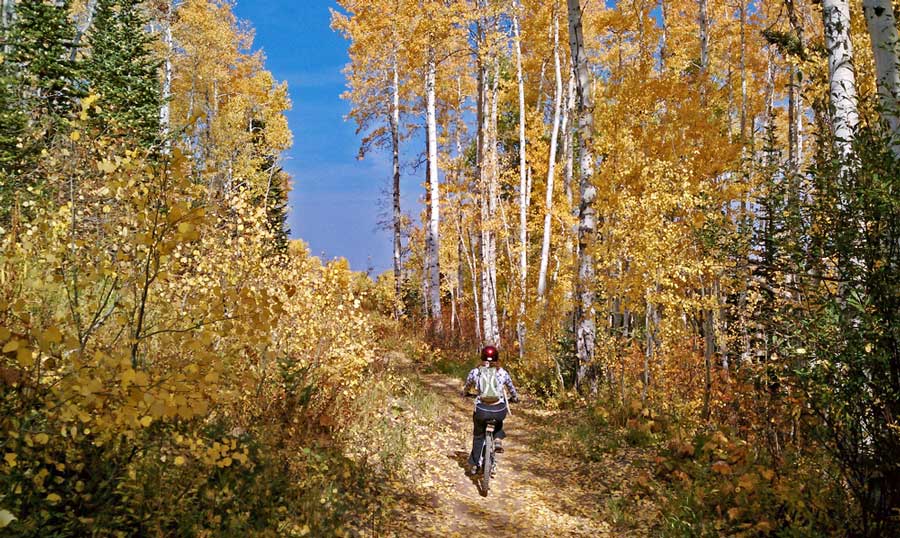View of a man biking in Steamboat Bike Park