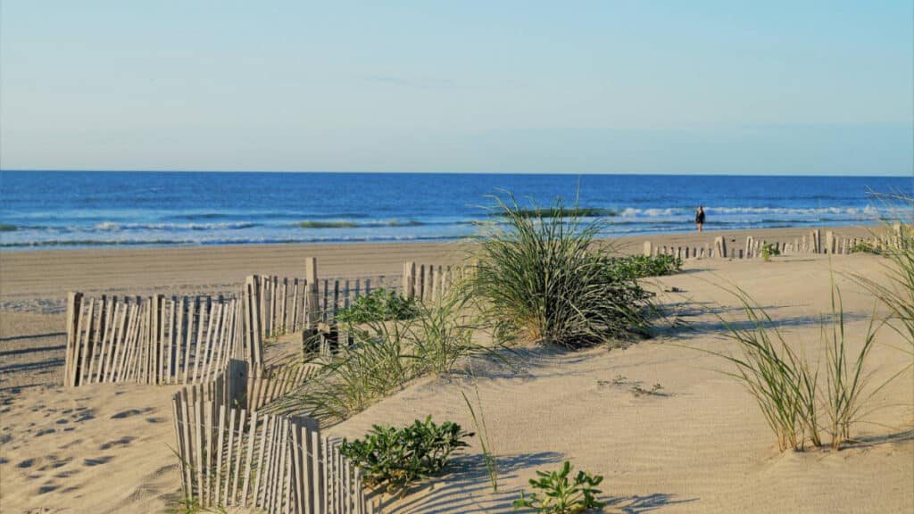 View of dunes at the Stone Harbor Beach in New Jersey
