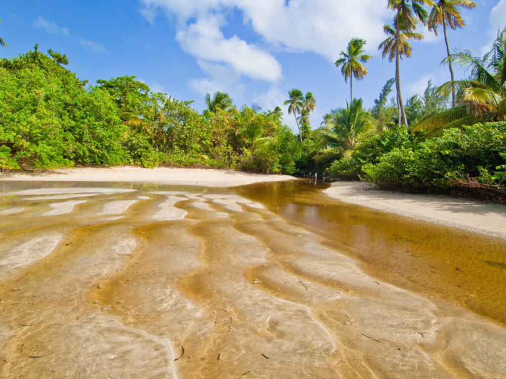A stream cutting through the beach in Luquillo