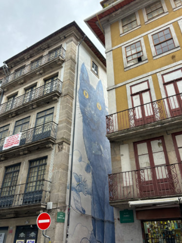 A cat mural on a side of a building in Vitoria
